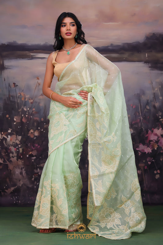 Tea Green Embroidery Applique Organza Saree