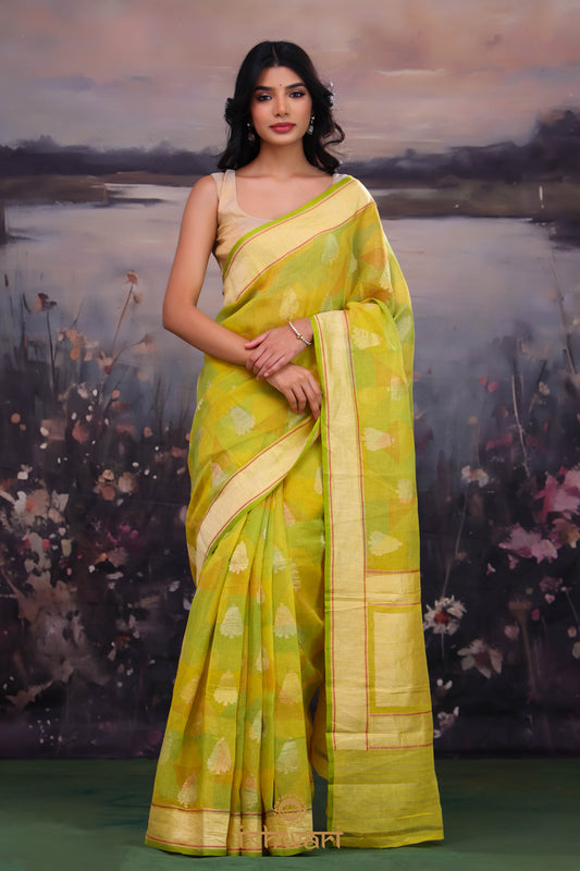 Greenish Yellow Handloom Tissue Cotton Saree