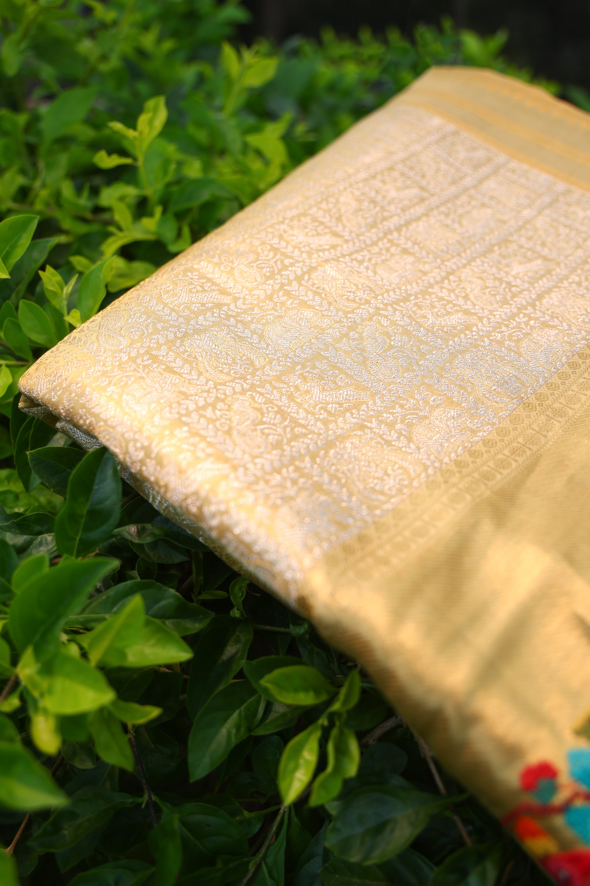 House of Ishwari sarees