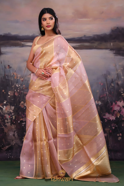 House of Ishwari sarees