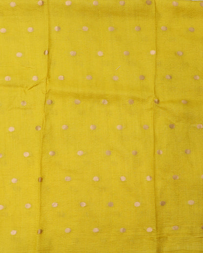 Shop online best sarees from House of Ishwari