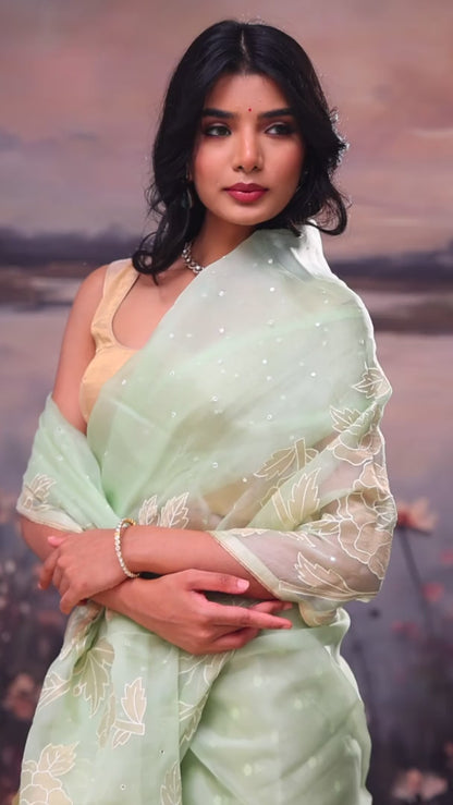 Tea Green Embroidery Applique Organza Saree