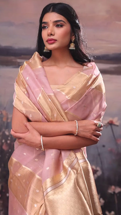 Pink Gold Vertical Striped Organza Tissue Saree