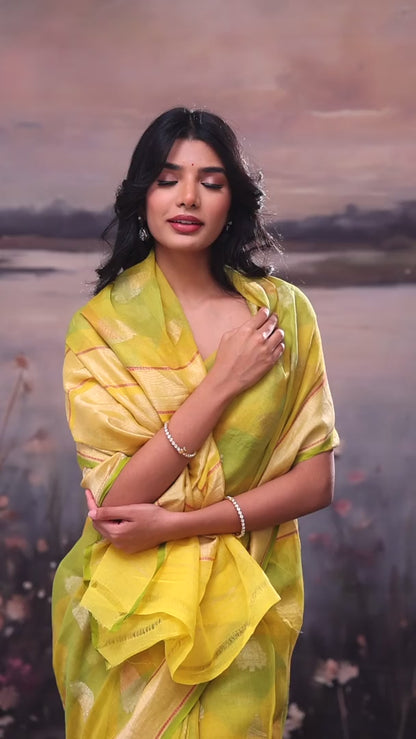 Greenish Yellow Handloom Tissue Cotton Saree